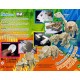 Puzzle 3D robot dino animé apatosaure - robotime d420 - Boîte
