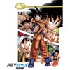 Poster Dragon Ball Z Goku Story (91,5 x 61 cm)